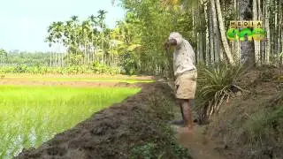 The story of farmer Raman, Reporters Diary 78 Part-[2]