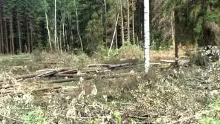 MOV09879