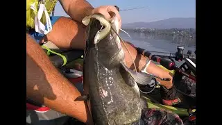 Black Minnow e siluro baby dal kayak