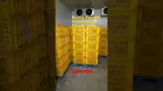 #banana #ripening in #coldstore #price Rs 20 per kg 11-04-2022