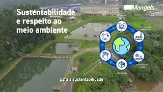 Mangels Cilindros de GLP e Reservat&oacute;rios de Ar
