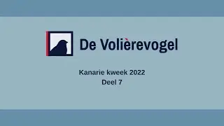 Kanarie kweek 2022 Deel 7