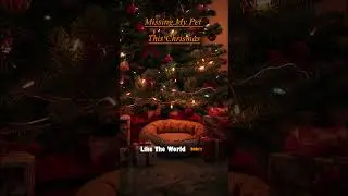 There's a stocking I didn't hang this Christmas 💔🎄 | Missing my pet