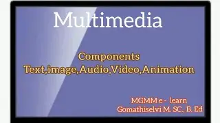 Мультимедиа/Компоненты мультимедиа