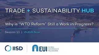 Webinar | Why is &ldquo;WTO Reform&rdquo; Still a Work in Progress?