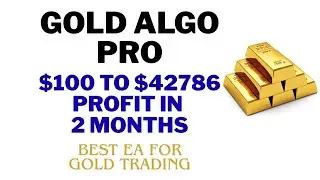 Gold Algo Pro Forex Robot Review  Turn $100 Into $42,786 Fast  MT4 EA Backtest | Best forex robots