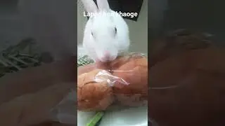 Tu jamane ki prwah na kr💝