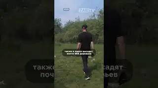 Парк МЖК в Чите не успели достроить к сроку &ndash; причины и новые даты