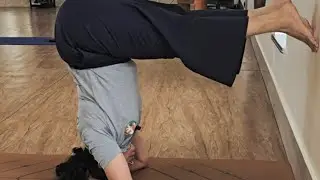 10-Minute Headstand Foundations | Using the Wall for Awareness in Śīrṣāsana