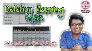 Deletion Mapping | CSIR NET PYQs | Solve quickly with tips and tricks