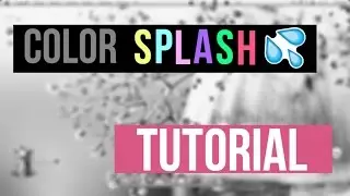 Color Splash Effect Tutorial on PicMonkey!