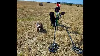 Metal detecting lost items from the past Gordon Castle Fochabers. Fun wee dig with the equinox 600
