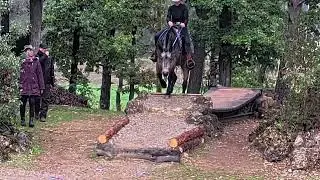 Gut Hammerberg Deutsche Meisterschaft 2025 Open Bridleless