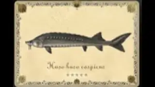 러시안피싱 4 실시간 벨루가 트로피 랜딩중(Russian Fishing 4 Real-time Beluga Trophy Landing)