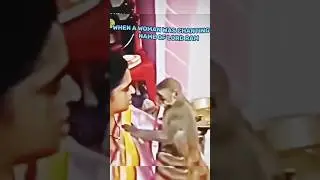 When A Women Was Chanting Name Of Lord Ram An Monkey came||#shortsfeed #shorts #viral #ram #hanuman