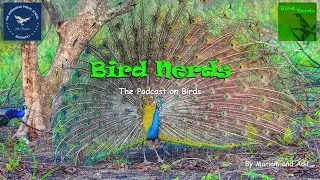 Bird Nerds Podcast - A Webinar
