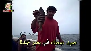 طلعة صيد من الارشيف في عام 2009  و  1430