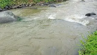 Relaxing Music with Water Sounds for Stress Relief, Relieve depression