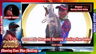 Hobby Mancing - Mengenal Mancing Casting Ikan Gabus @ayoebcaster