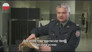 Weird customs' seizures