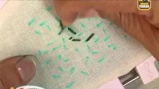 Puntada de semilla  Puntadas de Fantas&iacute;a