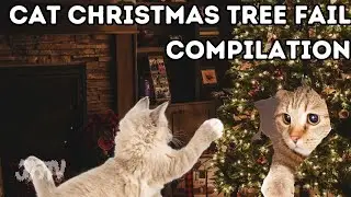 Cats Christmas Tree Fail Compilation 2023