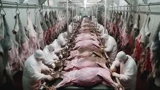 Inside a Traditional Donkey Leather Factory  Full Manufacturing Process