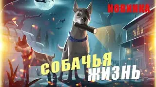 Haunted Paws игра на двоих: детективы-щенки в Steam (Тест кооператива, геймплей и прохождение)