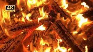 3 Hours Relaxing Campfire 🔥 Cozy Night Ambience