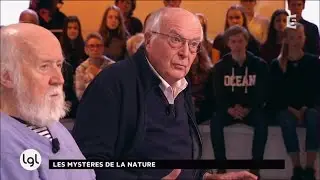 Suffit-il de regarder la nature pour la comprendre ? Les invit&eacute;s r&eacute;pondent