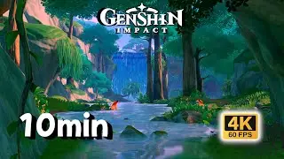 10-MIN Focus &bull; Vissudha Field Creek Breeze & Forest Birds | Genshin Impact 4K
