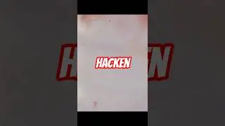 Hacken y su sonido Neo cl&aacute;sico #musica #rockprogresivo #metalprogressivo #drummer #rock #newmetal
