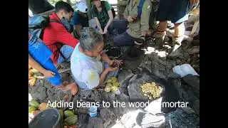 Using a stone pestle to make Koko Samoa
