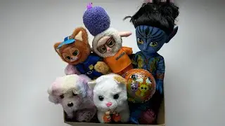 [🎁ASMR Toy🎁]SUPER STUNNING🌈UnboxingStart:Mysterious Toys and Surprises#sprunki#asmr