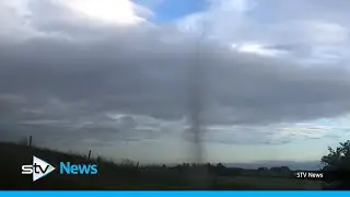Thousands of midges caught forming 'tornado' in skin-crawling video
