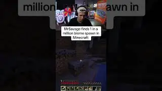 Minecraft?😂 #minecraft #mrsavage #rare