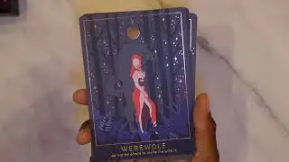 Forest Tales Oracle Deck - Moon Witch Series