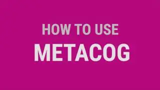 METACOG Answer Input System