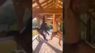 Real life Tarzan races monkey on monkey bars