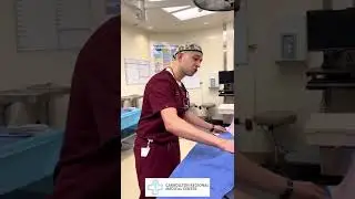 Dr. Dany Hanna serves the #transgender and #nonbinary community through gender-affirming surgery.