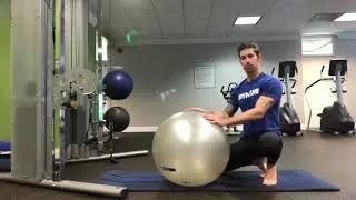 Spine Sparing Core Exercise
