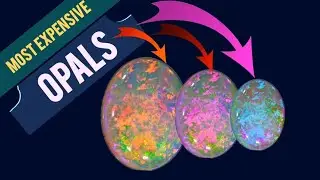 most expensive opal ever found | GEMS CREST |