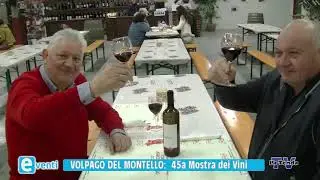 EVENTI - Volpago del Montello: 45a Mostra dei vini