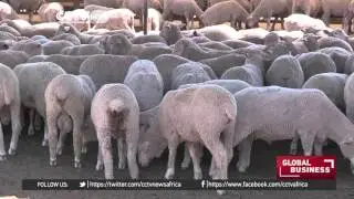 Harsh weather conditions in South Africa force increase of beef prices