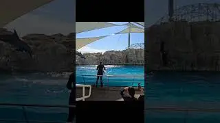 Explore the Dolphin 🐬 Show at Texas State Aquarium, Corpus Christi TX