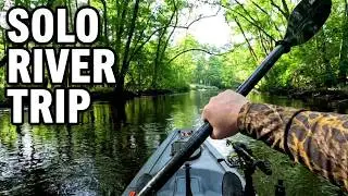 Kayaking Adventure on the North Edisto River