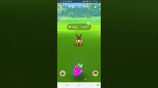 tepig con day