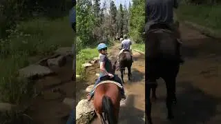 Rocky Mountain National Park horseback riding