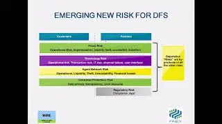 Risk Management in Digital Financial Services