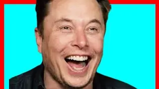 Meanwhile at TWITTER - Daily memes